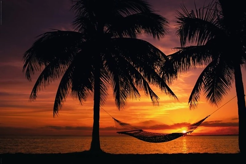 Hammack Sunset