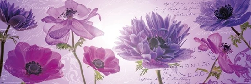 Purple flowers