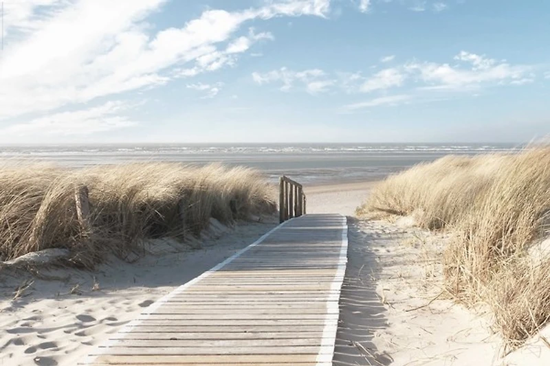 Beaches