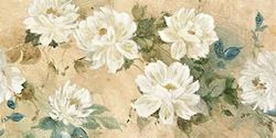 Wilcox - White Petals 