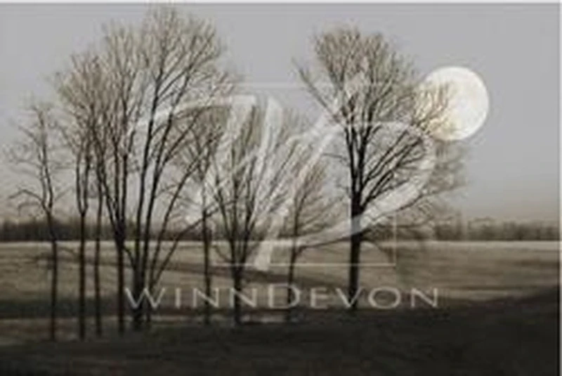 November Moon-Heather Jacks