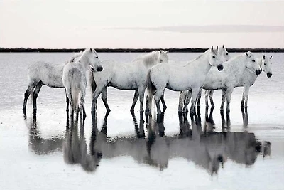Jorge Llovet - Calm Waters  