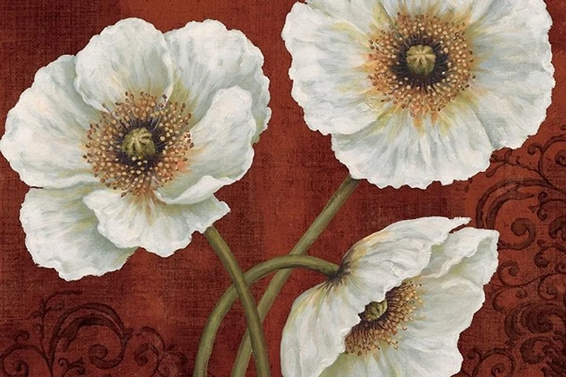 Daphne Brissonnet - Applique Spice