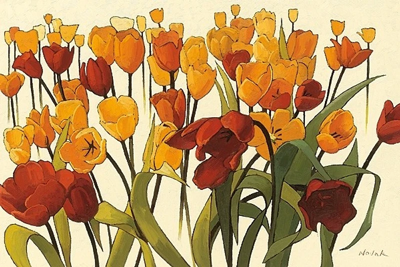 Shirley Novak - Tulipomania