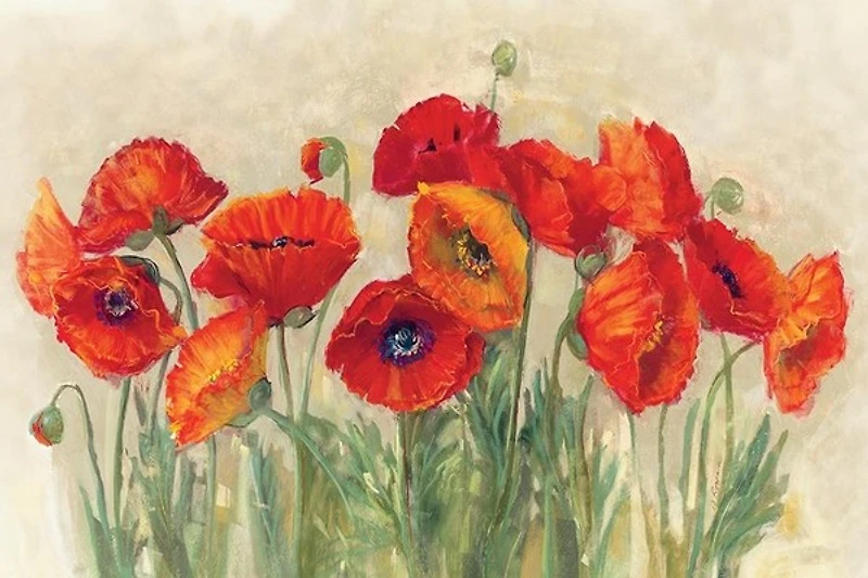 Lisa Audit - Vibrant Poppies