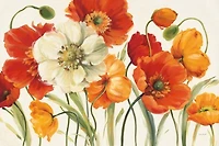 Lisa Audit - Poppies Melody I  