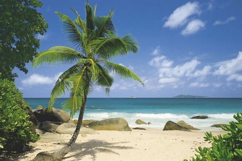 Beach Landscape