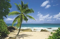 Beach Landscape  