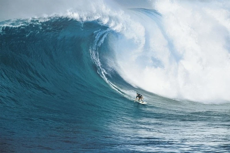 Lets Go Surfing