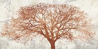 Alessio Aprile - Tree of Bronze