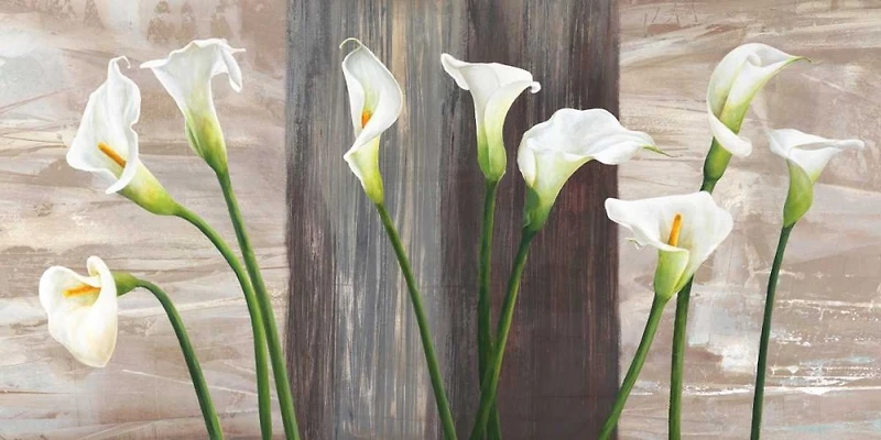 Jenny Thomlinson - Country Callas