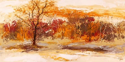 Lucas - Foresta II