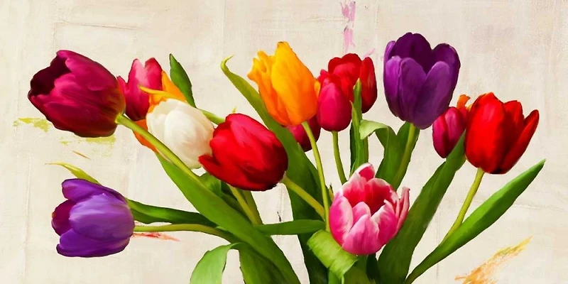 Teo Rizzardi - Bouquet d Ete