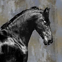 East Urban Home - Black Stallion