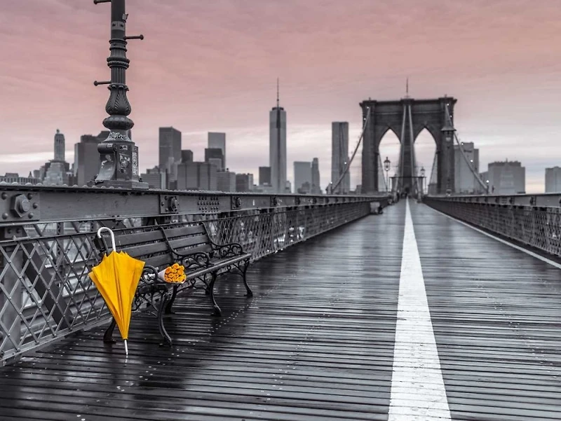Assaf Frank - Yellow umbrella and bunch of roses on bench pedestrian pathway, Brooklyn bridge
