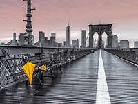Assaf Frank - Yellow umbrella and bunch of roses on bench pedestrian pathway, Brooklyn bridge