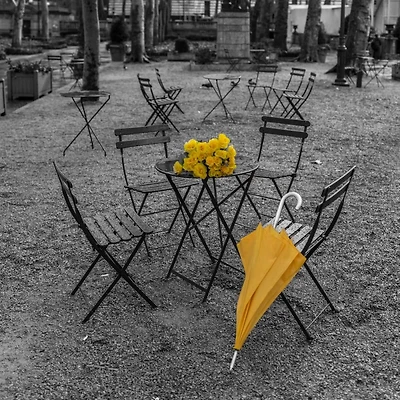 Assaf Frank - Bunch of roses and umbrella on table chair at the park, New York