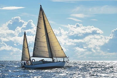 Ricki Mitchello - Yacht Sailing On Sunny Day