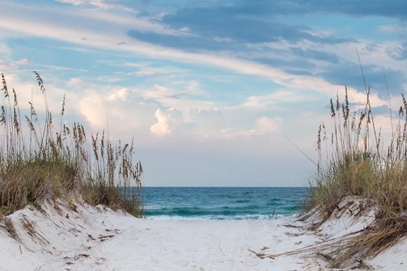 Lidia Maine - White Sandy Beach