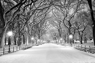 Jameela Danai - Central Park, NY Covered Snow
