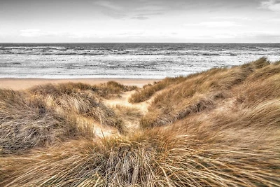 Assaf Frank - Beach Dunes