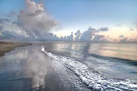 Celebrate Life Gallery - Quiet Morning