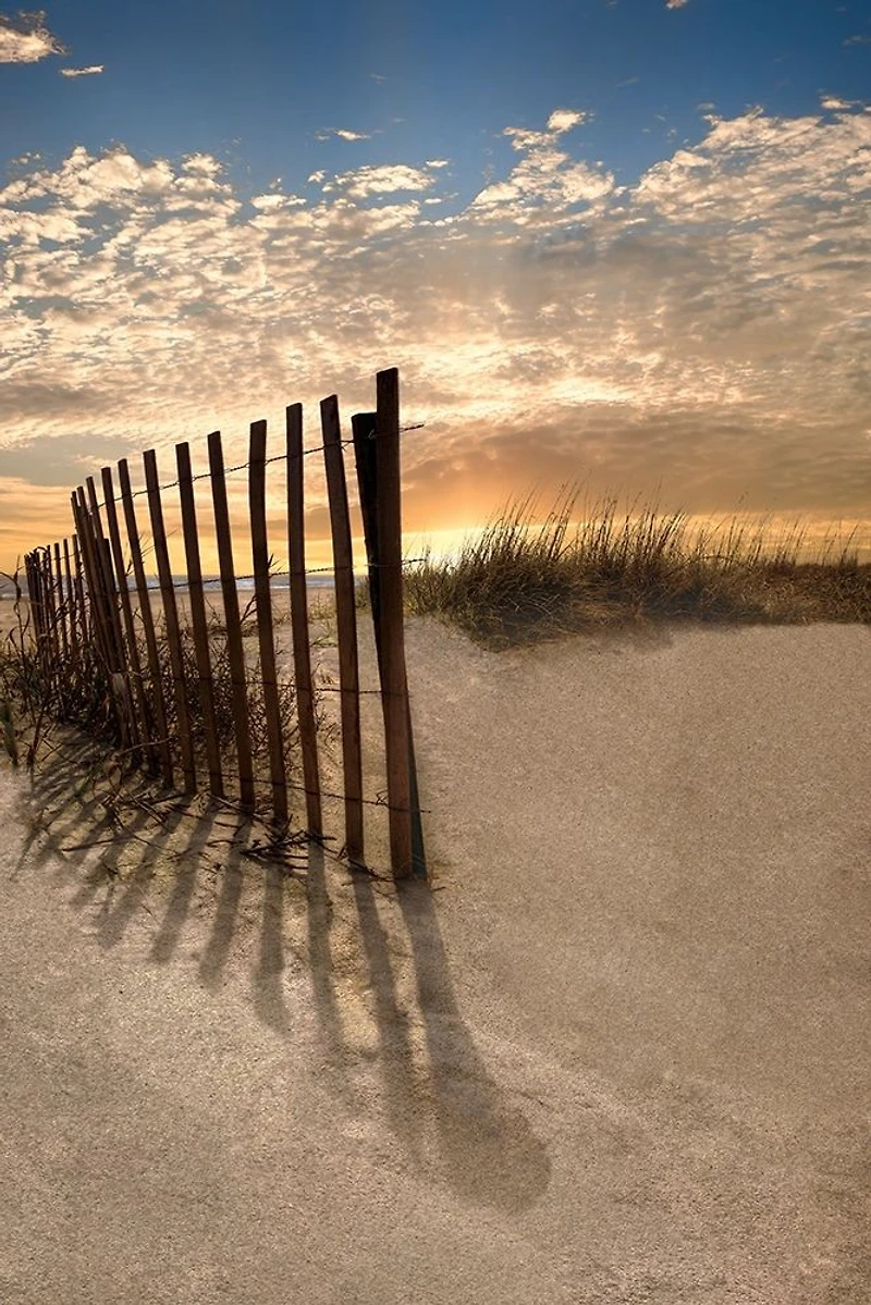 Celebrate Life Gallery  - Dune Fence at Sunrise