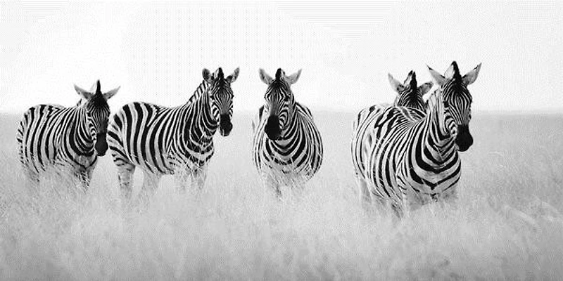 Nina Papiorek - Meeting Place