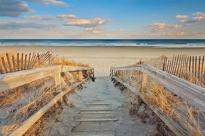 Katherine Gendreau - Waiting for Summer