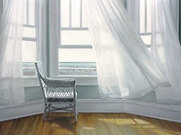 Karen Hollingsworth - Waiting fo Fly