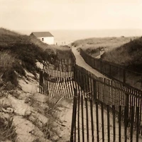Christine Triebert - Dune Fence