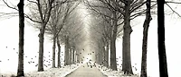 Lars Van de Goor