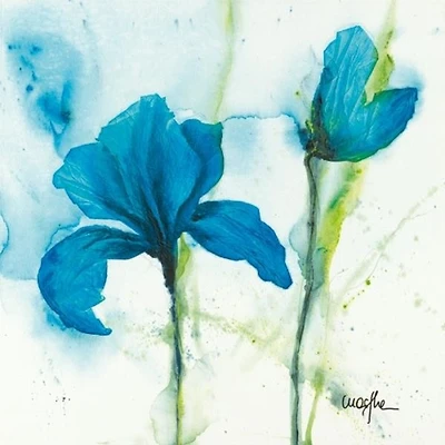 Marthe - Lys I  