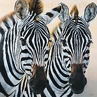 Danielle Beck - Zebre De Gol  