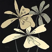 Karen Plimpton