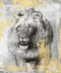 Dina Peregojina - King