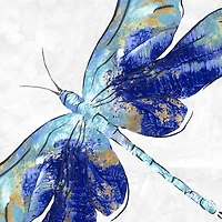 Eva Watts  - Blue Dragonfly