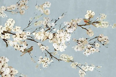 Asia Jensen - Kimono With Birds I