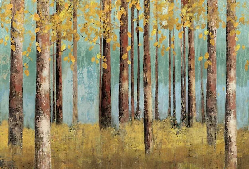 Allison Pearce - Birch Country