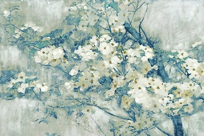 Edward Selkirk - Dogwood Bloom