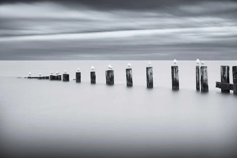 Chris Tennant - Stilts And Gulls