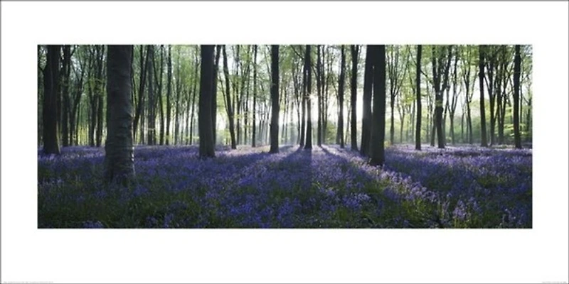 David Clapp - Playing The Blues