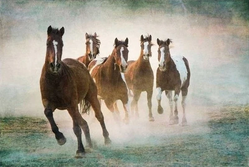 Wendy Caro - Blaze Of Glory  