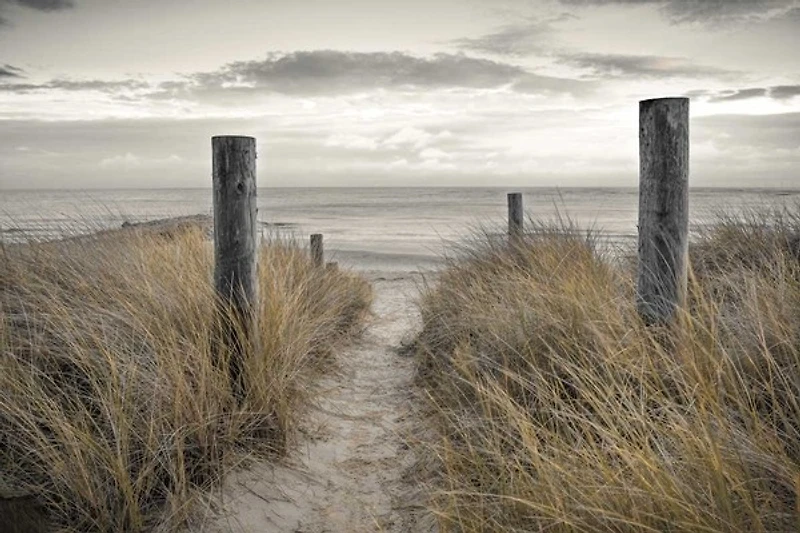Assaf Frank - Beach Day
