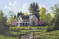 Bill Saunders - Rippling Stream
