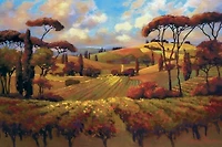 Janet Vanderhoof - Evening Vineyard  