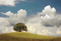 John Scanlan - A Place To Dream  