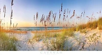 Doug Cavanah - Along The Strand - Ovsz  