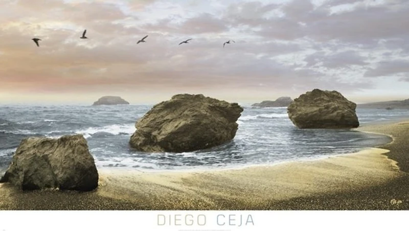 Diego Ceja - Bodega Beach II