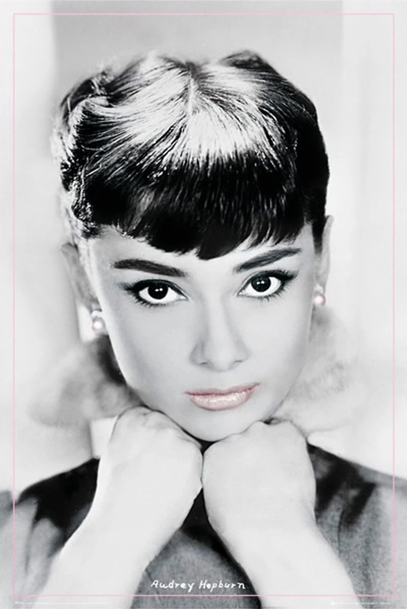 Audrey Hepburn Children's Find